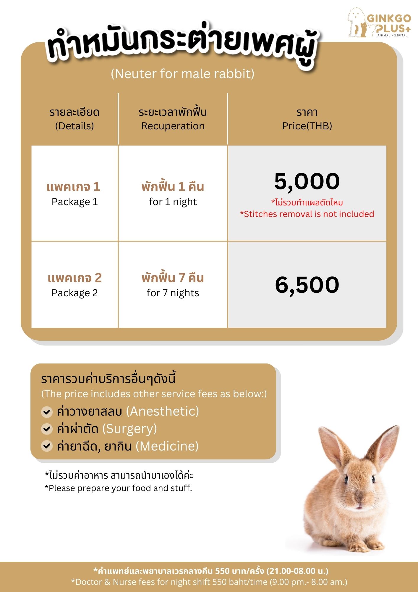 ทำหมันกระต่ายเพศผู้